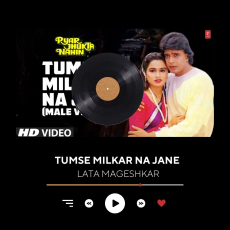 Tumse Milkar Na Jane Lyrical Video Pyar Jhukta NahinLata Mangeshkar,Shabbir KumarMithun C,Padmini Tumse Milkar Na Jane Lyrical Video Pyar Jhukta NahinLata Mangeshkar,Shabbir KumarMithun C,Padmini